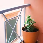 Authentic In Fiscardo Apartman