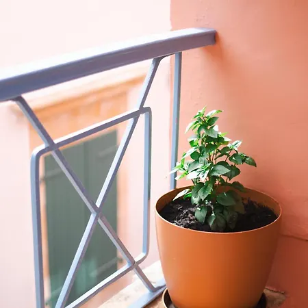 Authentic In Fiscardo Apartment